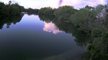 Weather camera view of Zoo Miami.