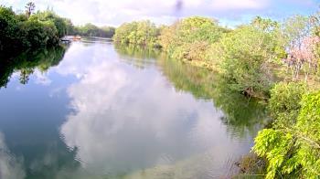 Weather camera view of Zoo Miami.