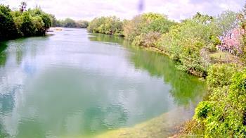 Weather camera view of Zoo Miami.