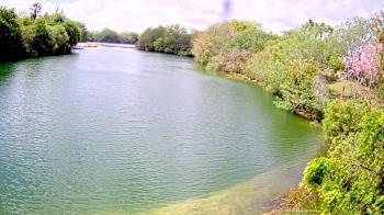 Weather camera view of Zoo Miami.