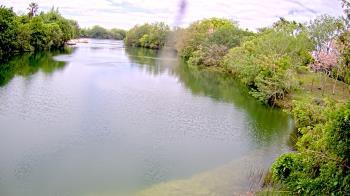 Weather camera view of Zoo Miami.