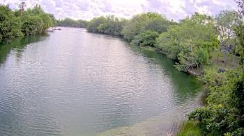 Weather camera view of Zoo Miami.