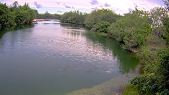 Weather camera view of Zoo Miami.