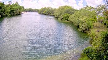 Weather camera view of Zoo Miami.