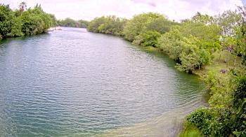Weather camera view of Zoo Miami.