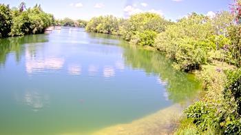 Weather camera view of Zoo Miami.