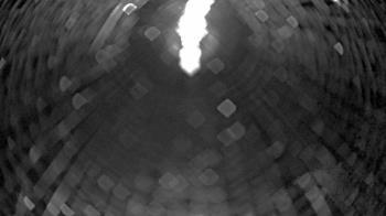 Weather camera view of Zoo Miami.