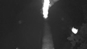 Weather camera view of Zoo Miami.