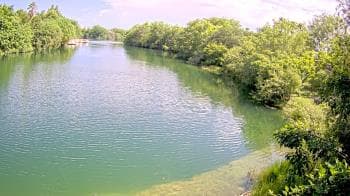 Weather camera view of Zoo Miami.