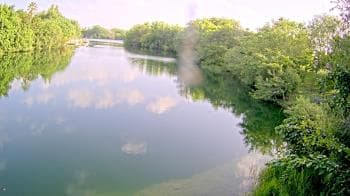 Weather camera view of Zoo Miami.