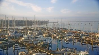 Weather camera view of Mandarin Holiday Marina.