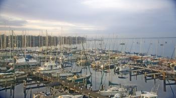 Weather camera view of Mandarin Holiday Marina.