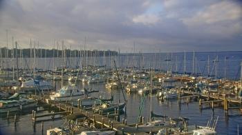 Weather camera view of Mandarin Holiday Marina.