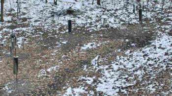 Weather camera view of Cincinnati Nature Center.