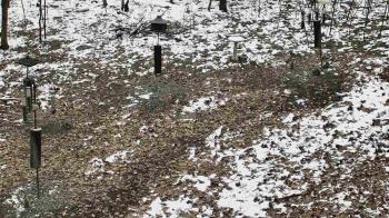 Weather camera view of Cincinnati Nature Center.