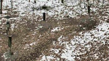 Weather camera view of Cincinnati Nature Center.