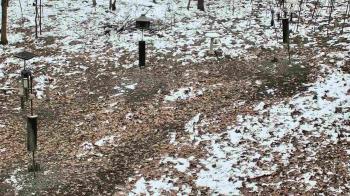 Weather camera view of Cincinnati Nature Center.