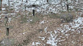 Weather camera view of Cincinnati Nature Center.