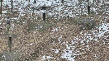 Weather camera view of Cincinnati Nature Center.
