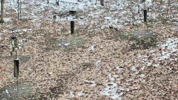 Weather camera view of Cincinnati Nature Center.