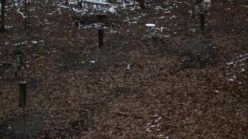 Weather camera view of Cincinnati Nature Center.