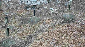 Weather camera view of Cincinnati Nature Center.