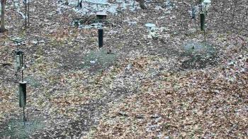 Weather camera view of Cincinnati Nature Center.