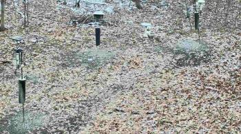 Weather camera view of Cincinnati Nature Center.