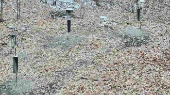 Weather camera view of Cincinnati Nature Center.