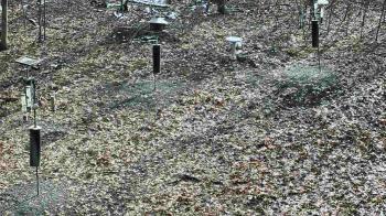 Weather camera view of Cincinnati Nature Center.
