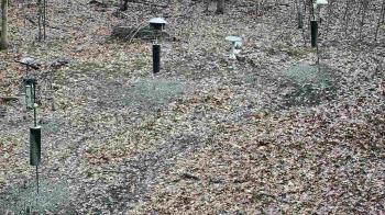 Weather camera view of Cincinnati Nature Center.
