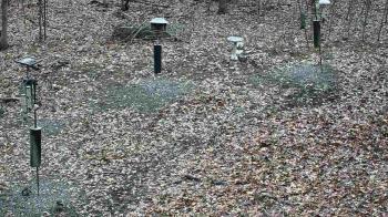 Weather camera view of Cincinnati Nature Center.