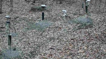 Weather camera view of Cincinnati Nature Center.