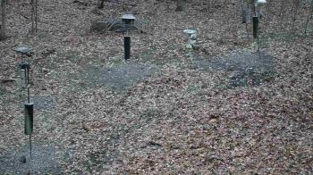 Weather camera view of Cincinnati Nature Center.