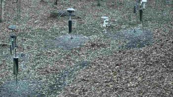 Weather camera view of Cincinnati Nature Center.