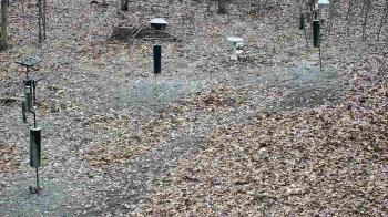 Weather camera view of Cincinnati Nature Center.