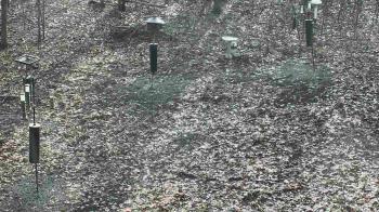 Weather camera view of Cincinnati Nature Center.