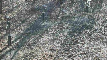 Weather camera view of Cincinnati Nature Center.
