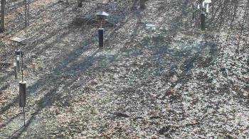 Weather camera view of Cincinnati Nature Center.