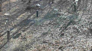 Weather camera view of Cincinnati Nature Center.