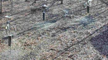 Weather camera view of Cincinnati Nature Center.