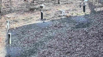 Weather camera view of Cincinnati Nature Center.