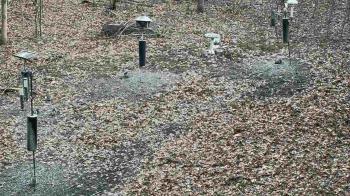 Weather camera view of Cincinnati Nature Center.