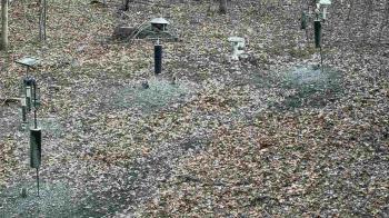 Weather camera view of Cincinnati Nature Center.