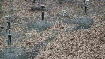 Weather camera view of Cincinnati Nature Center.