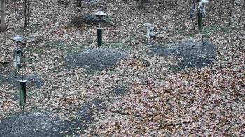 Weather camera view of Cincinnati Nature Center.