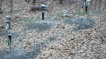 Weather camera view of Cincinnati Nature Center.