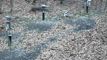 Weather camera view of Cincinnati Nature Center.