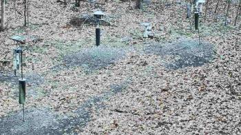 Weather camera view of Cincinnati Nature Center.