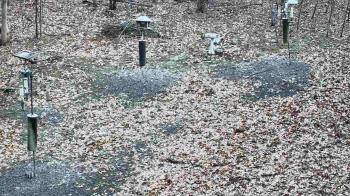 Weather camera view of Cincinnati Nature Center.